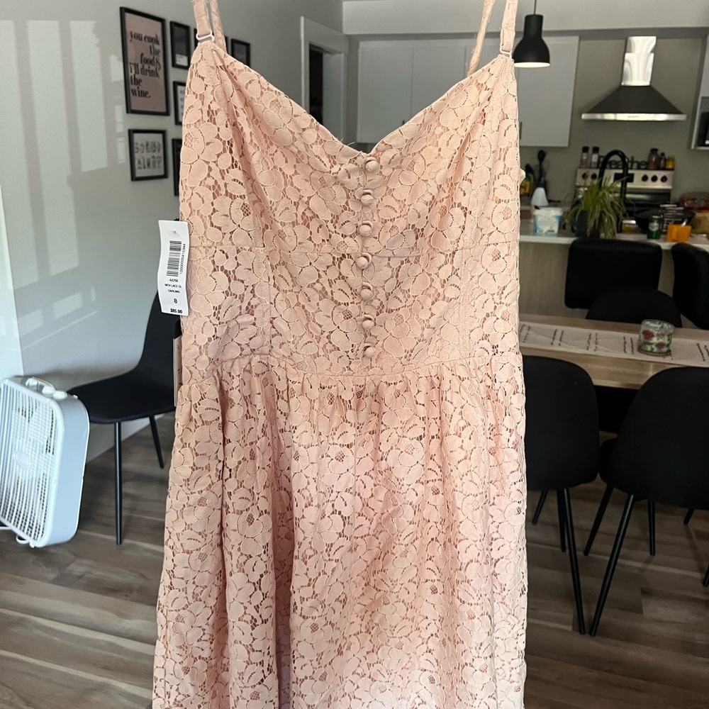 Aritzia Lace Dress in Soft Pink